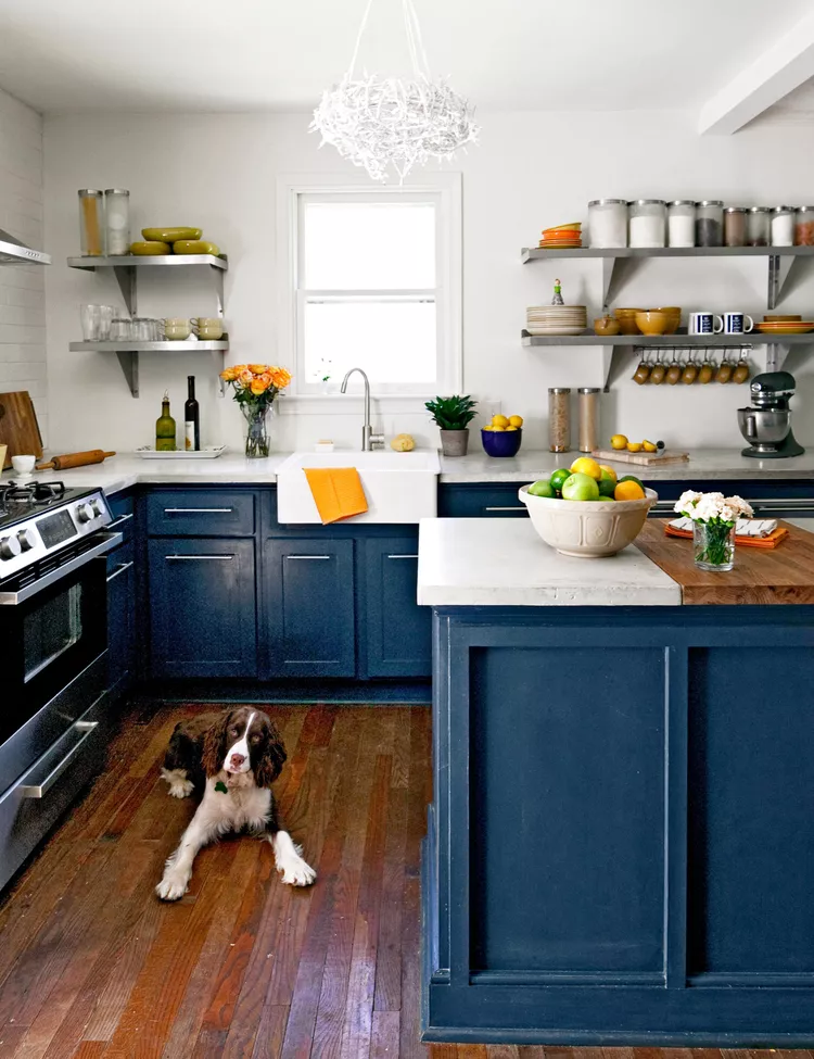blue-kitchen-dog-9ef1a4ba-727f78f74100403e9b43efc187ac5bf3 blue-kitchen-dog-9ef1a4ba-727f78f74100403e9b43efc187ac5bf3